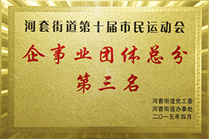 河套街道第十屆市民運(yùn)動會企事業(yè)組團(tuán)體總分第三名